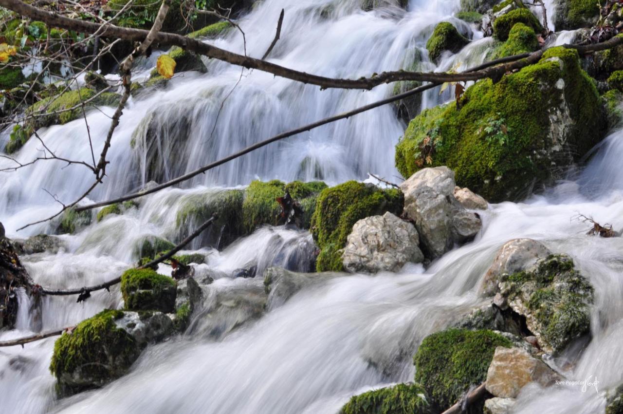 Apartmán Apartma Pr' Stengarju Bohinjska Bela Exteriér fotografie