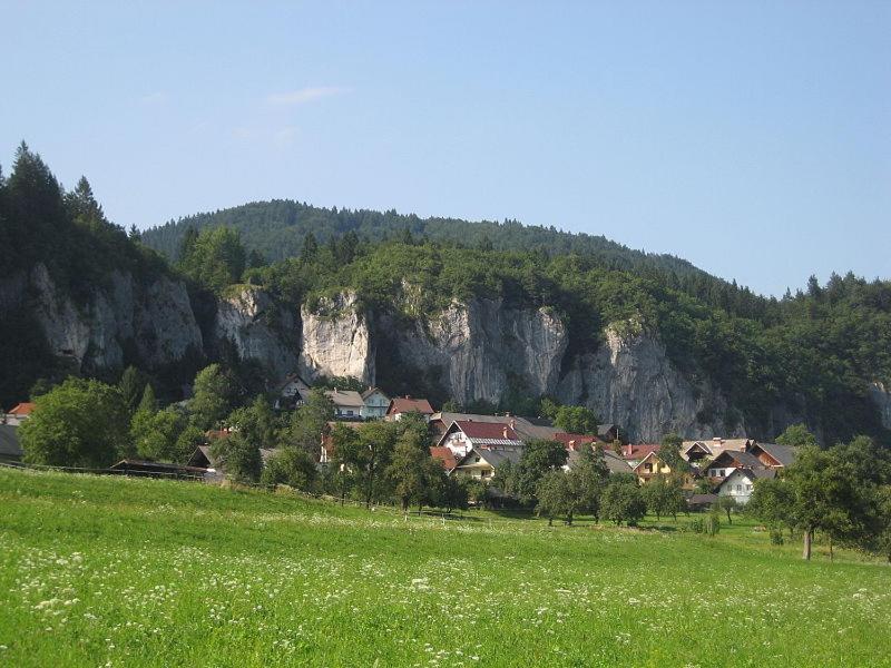 Apartmán Apartma Pr' Stengarju Bohinjska Bela Exteriér fotografie